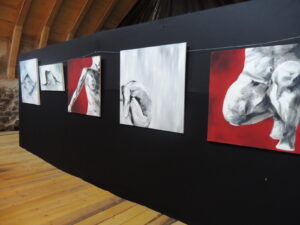 Photo de l'exposition de toiles contemporaines à l'exposition le champ des muses à rajasse. Toile de peinture acrylique, suc de sara, rocher de soutron, nu rouge